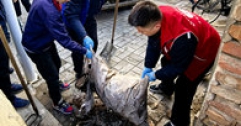 【市城市燃熱集團富泰熱力】巴彥、安裝分公司黨支部組織開展學(xué)雷鋒志愿服務(wù)活動